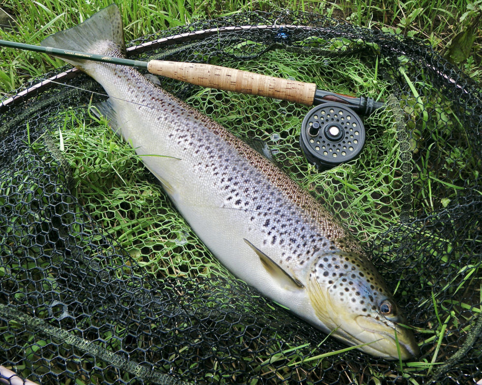 rod-basics-short-line-flyfishing